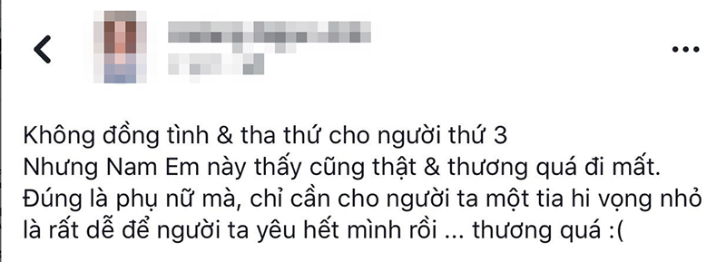 Nhiều ý kiến bênh vực Nam Em, cho rằng người nên bị chỉ trích chính là Trường Giang